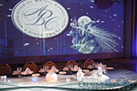 Timber Creek Ballroom Video Mapping, wedding lighting 